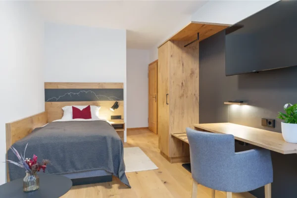Einzelzimmer Dusche/WC, TV, Schlafcouch und Balkon mit Bergblick (18 qm)
