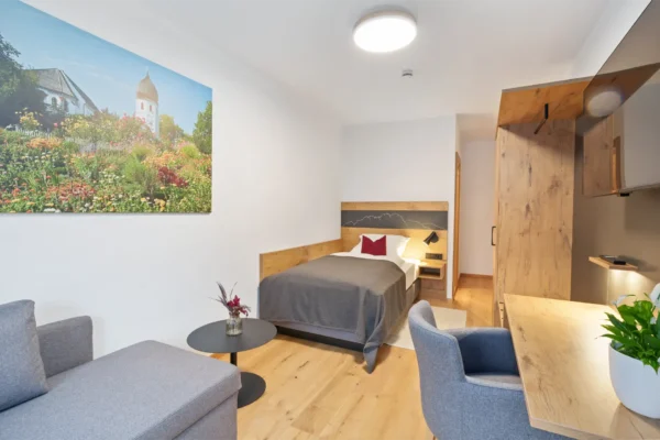 Einzelzimmer Dusche/WC, TV, Schlafcouch und Balkon mit Bergblick (18 qm)